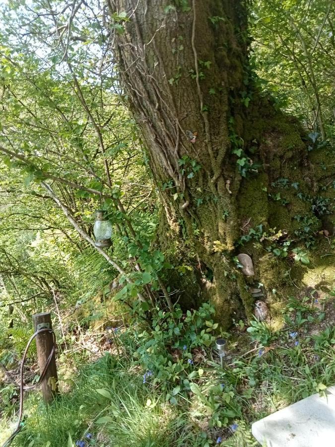 'morris' The Shepherd's Hut And Woodland Hot Tub Experience * Carmarthen