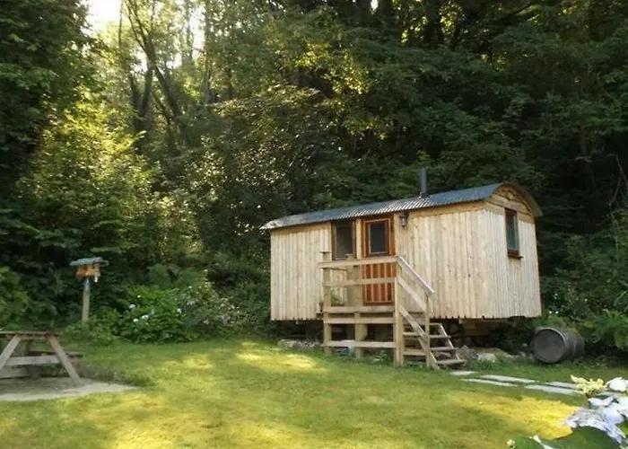 \'Morris\' The Shepherd\'S Hut And Woodland Hot Tub Experience