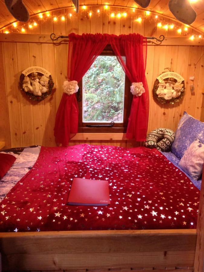Luxury tent 'morris' The Shepherd's Hut And Woodland Hot Tub Experience Carmarthen
