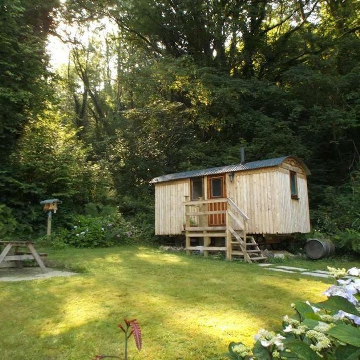 'morris' The Shepherd's Hut And Woodland Hot Tub Experience Carmarthen