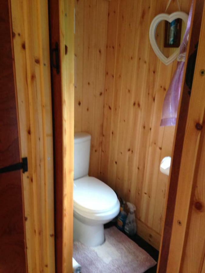 'morris' The Shepherd's Hut And Woodland Hot Tub Experience * Carmarthen